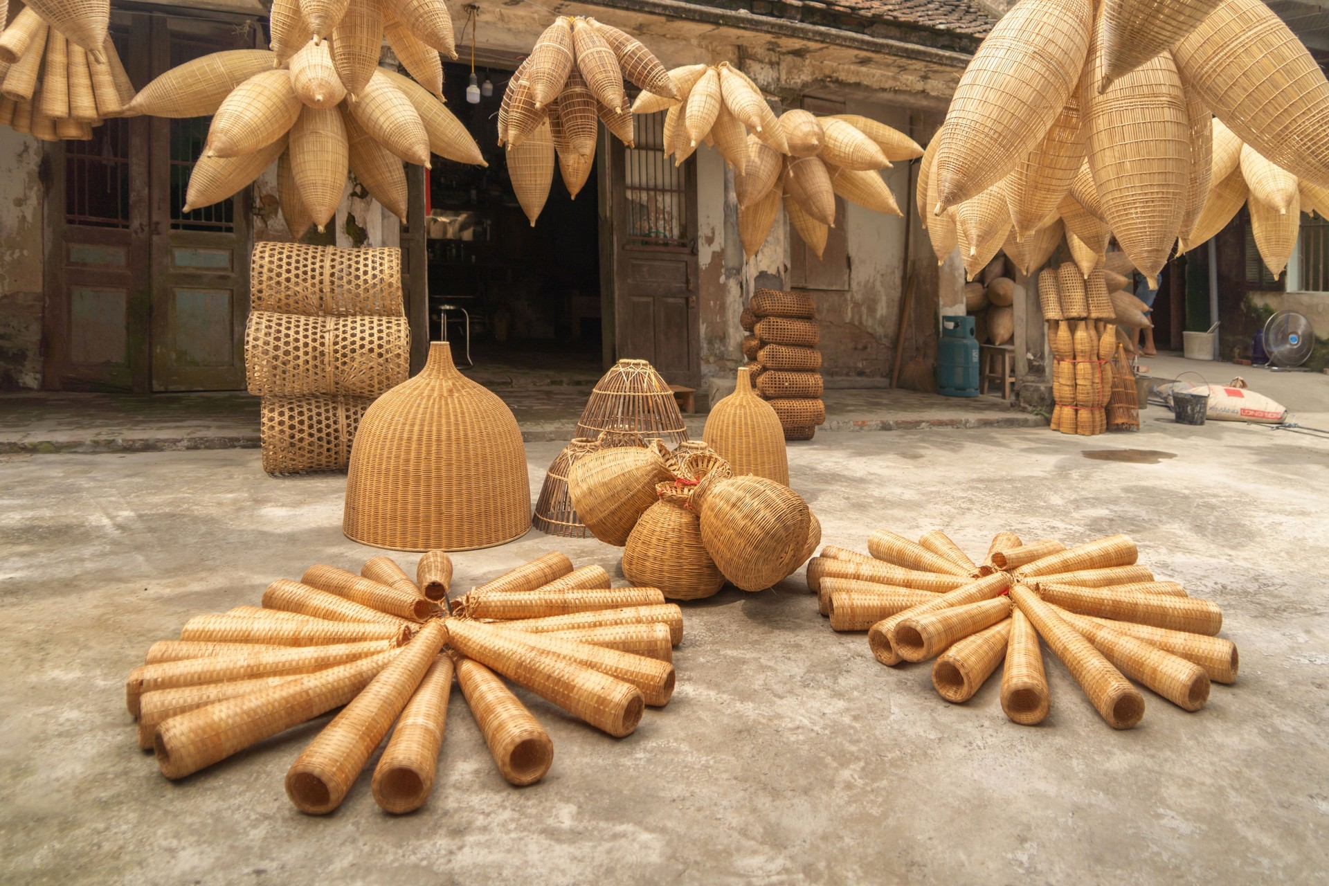 Weaving bamboo fish trap with basket in Hanoi, Vietnam.