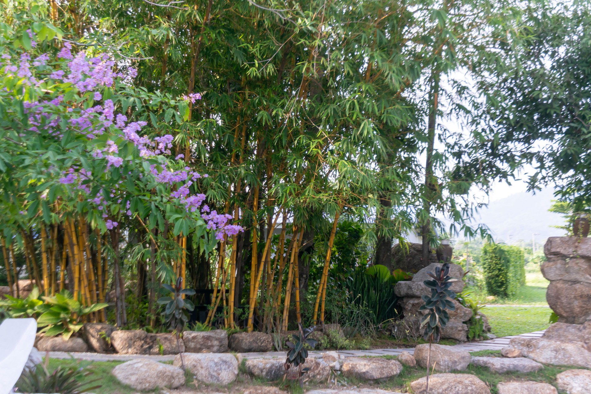 Serene Garden Landscape with Bamboo and Colorful Flowers in Nature